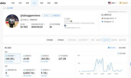 tiktok短视频带货